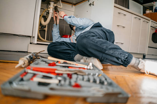 Best Plumbing Inspection Services  in Princeton, WI